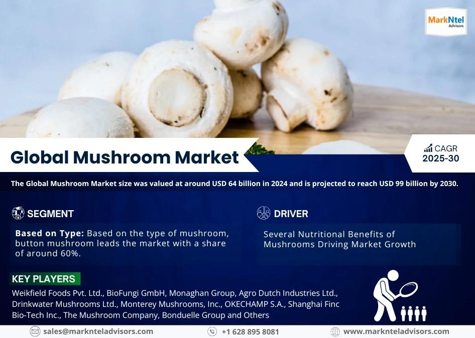 Mushroom Market Trends & Insights, 8% CAGR to 2030 | ruh.org.tr
