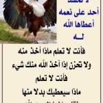 محمد قفة حماده قفة Profile Picture