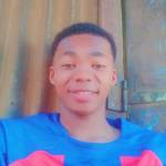 Omar Aly profile picture